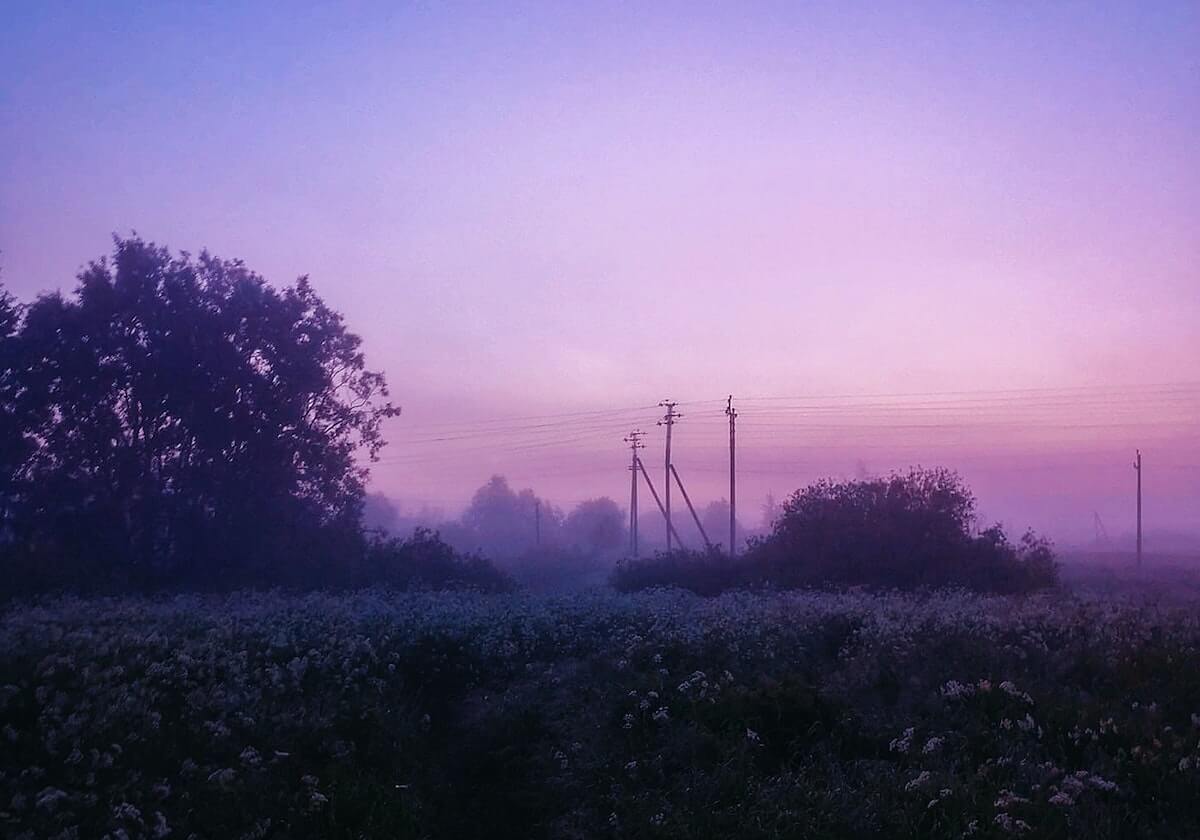 大V在深夜遭遇丑闻 刷屏不断，91网全网炸锅，详情围观