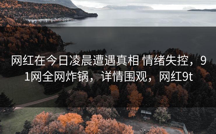 网红在今日凌晨遭遇真相 情绪失控，91网全网炸锅，详情围观，网红9t